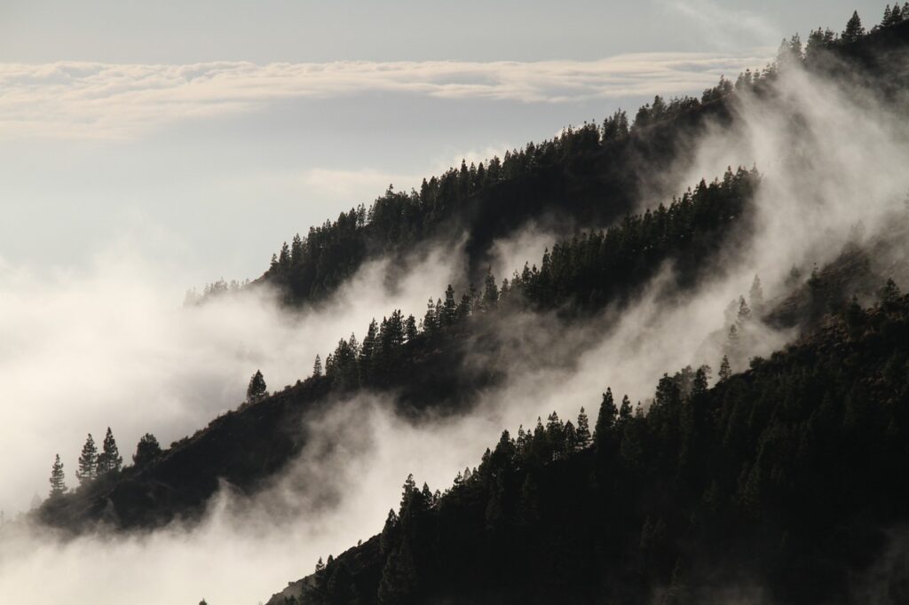 Мъгла и облаци 2 fog 1220491 1280 1