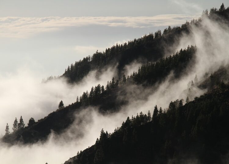 Мъгла и облаци 1 fog 1220491 1280