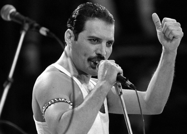 freddie