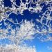 Студено с максимални до -2° 8 Студено с максимални до -2°