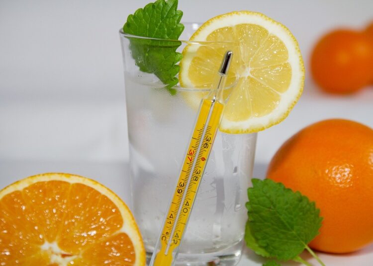 Бургас "излезе" от грипната епидемия 1 fruit 3071905 960 720 9