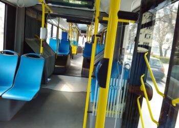 Паднало дърво на “Бистришко шосе” затрудни автобусите