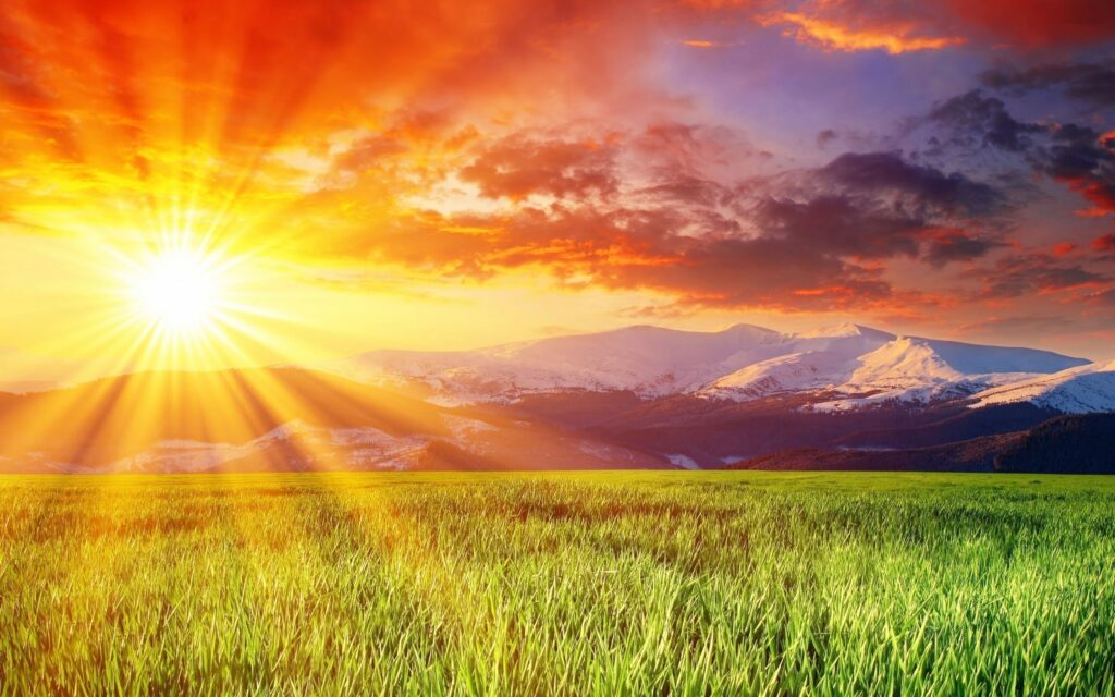 grass field sunset wallpaper 1 1
