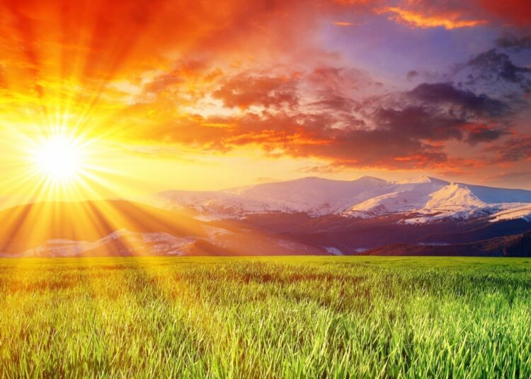 grass field sunset wallpaper 1 3