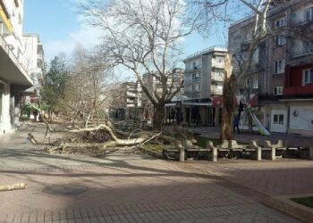 Броят половин милион за сгради, пострадали в ураган