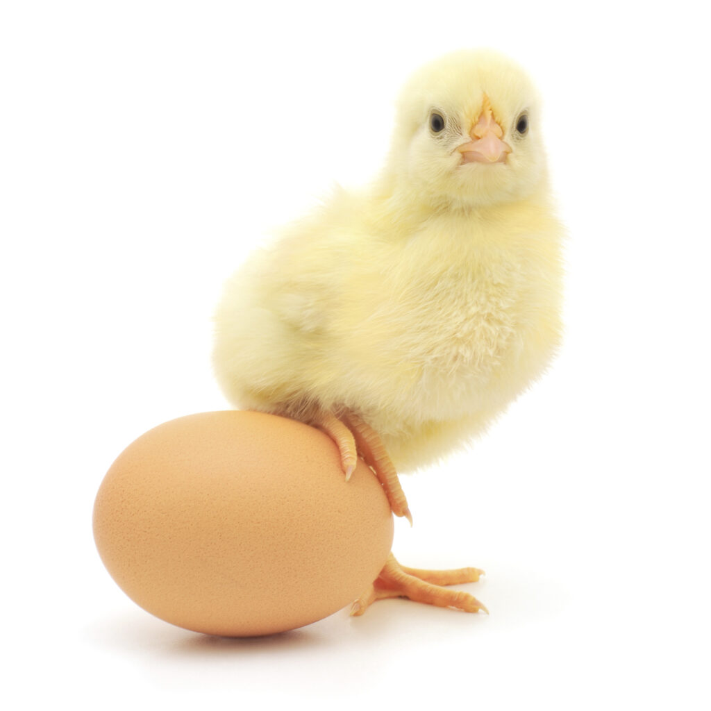 ibeacon chicken egg problem
