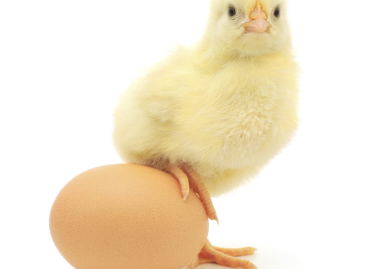 ibeacon chicken egg problem