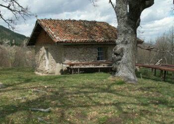 Слагат новия иконостас на спасения храм в с.Илия