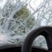 Съдят шофьор за прегазено 6-годишно дете в Сандански