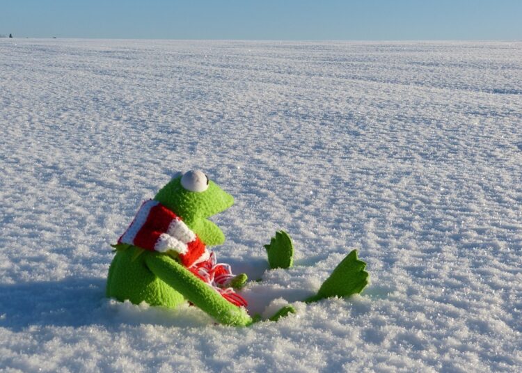 kermit 70139 960 720 2