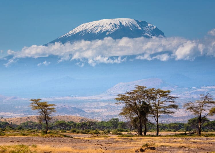 kilimanjaro