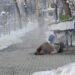 Приеха в болница двама измръзнали бездомници