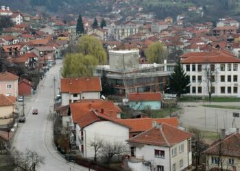Наши лекари бяха задържани в Босилеград