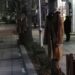 Десетки в Дупница се топлят от дарени по дърветата дрехи