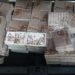 890 книжки „Заветът на Хан Кубрат” получиха третокласниците в Хасково