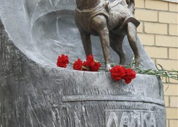 Кучето Лайка – малкият герой на големия Космос