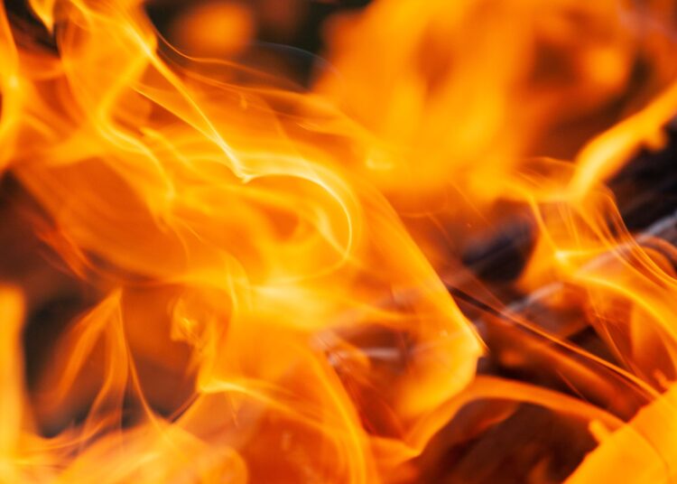 maxim tajer x3S1aGQNgro unsplash 8