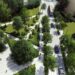 Another living street flourishes in Lodz