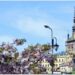 Sighisoara’s Historic Centre set to undergo major urban regeneration