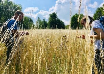 Insect Trail reinforces Tallinn’s bid for European Green Capital 2022