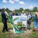 The Hague opens its largest solar-power plant to date