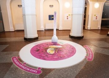 Lithuania welcomes tourists with “pink soup carpet”