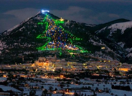 Italy has lit up the world's largest Christmas tree 8 Italy has lit up the world’s largest Christmas tree