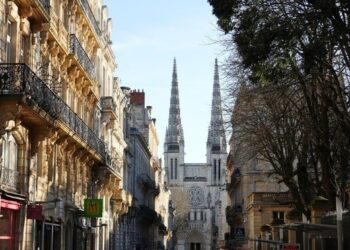 Bordeaux’s new mayor declares Christmas trees to be “dead”