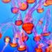 The European Union invests in the largest aquarium of Europe