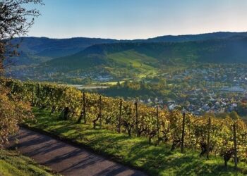Stuttgart promotes cycling during the holiday season