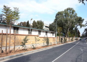 Nicosia ramps up treeplanting efforts