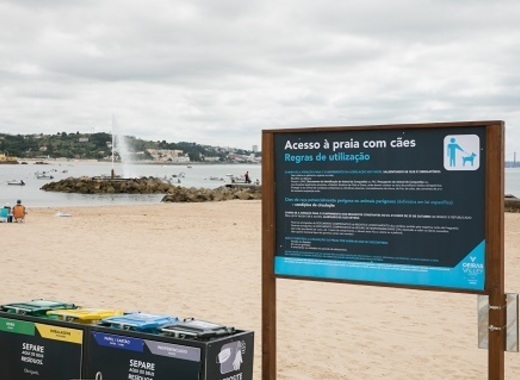Portuguese beaches go pet-friendly