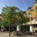 Discover Rotterdam’s unique trees with this augmented reality trail