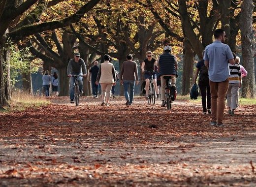 Tilburg adopts a walking mindset 1 medium walk 3731094 1920