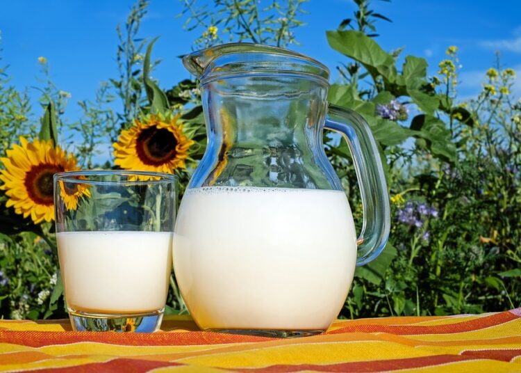 milk 2474993 960 720