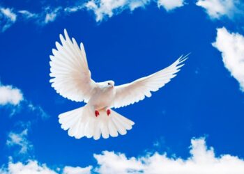 Светът отбелязва Международния ден на мира