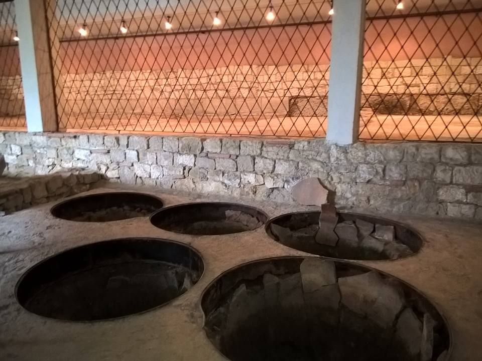 Девня ще привлича туристи с вино и история