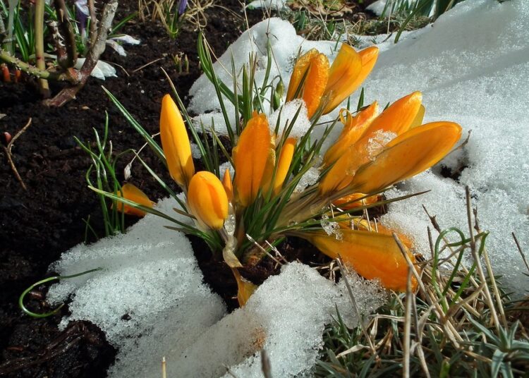 nature 3237244 960 720 2