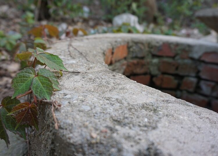 nature 3309537 960 720 6