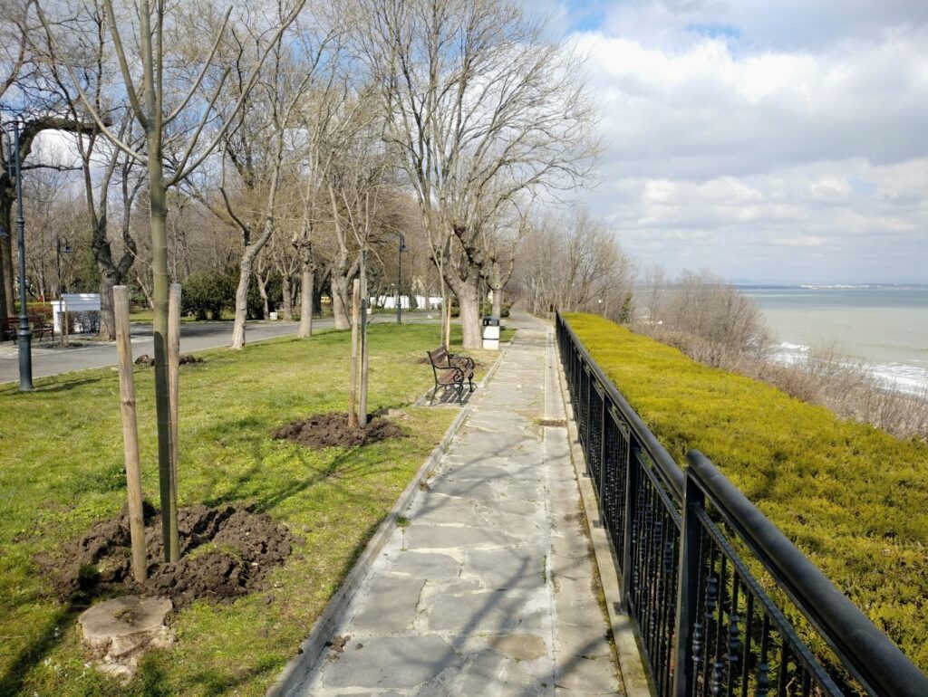 Озеленяват Морската градина с липи и кедъри 1 p10311 124453