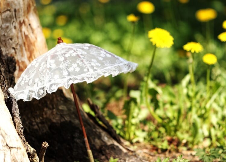 parasol 2348284 960 720 2