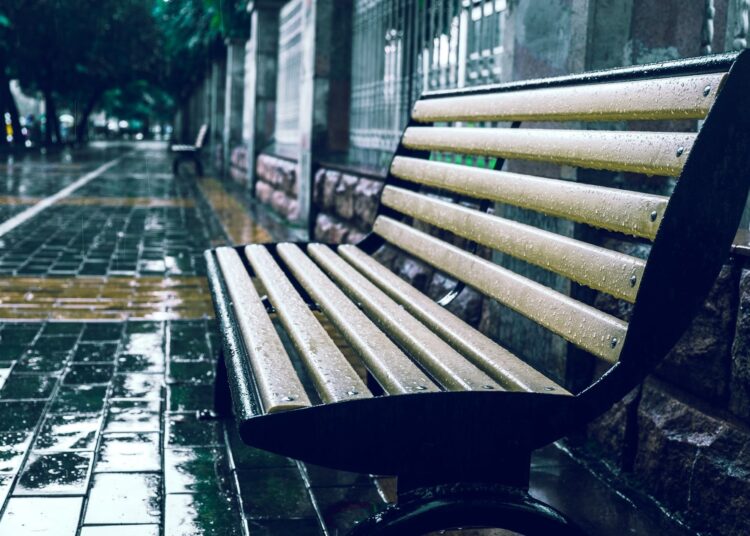 pexels photo 268737