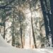 Снежна Коледа - само в планините, валежи около Нова година 8 Снежна Коледа – само в планините, валежи около Нова година
