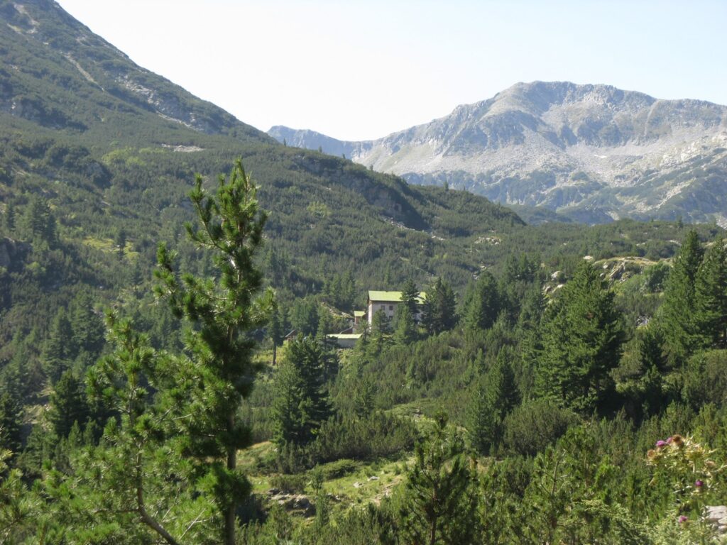 Акция "Заедно за природата" в Благоевград 1 planina Pirin
