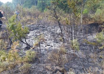 Горя пожар на границата между област Смолян и Кърджали