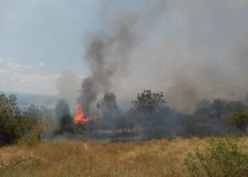 Пожар затвори 8 километра от магистрала “Тракия”