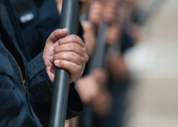 Частни охранители спасяват Видинско от крадци
