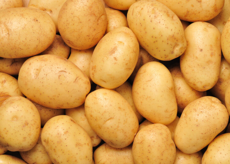 potato