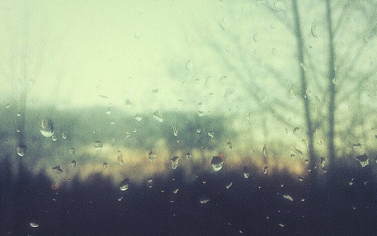 rainwinter 1