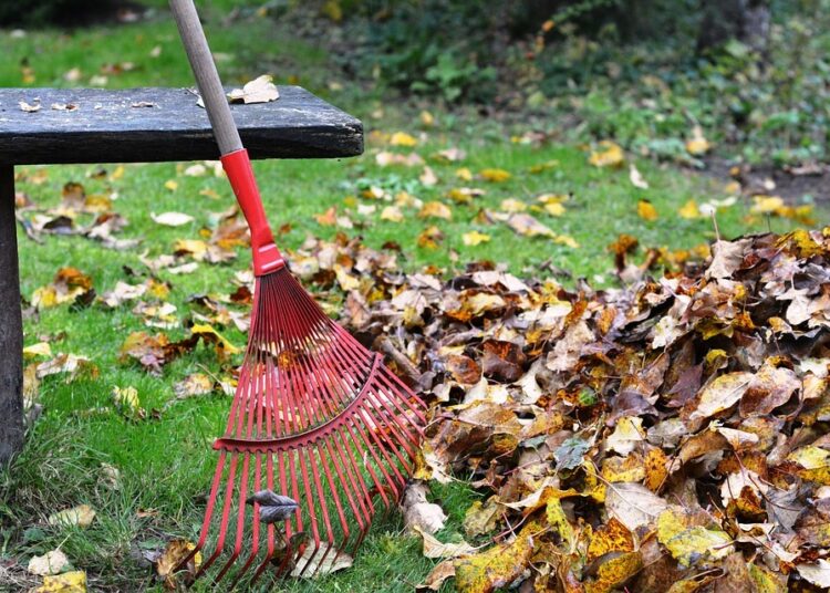 Започва есенното почистване в Берковица 1 rake 2876079 960 720